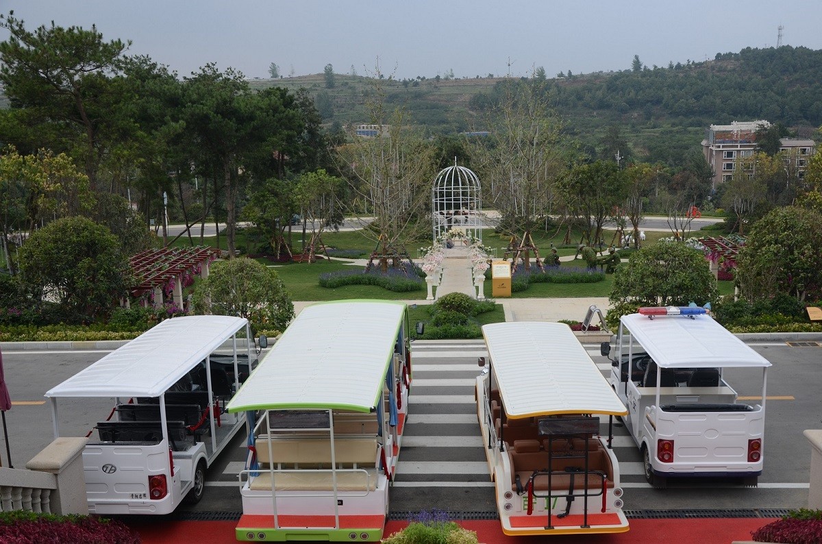 忠輝觀(guān)光車(chē)花溪碧桂園客戶(hù)案例圖片