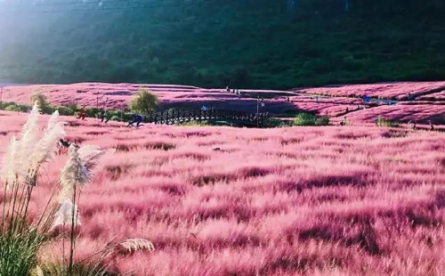 忠輝觀光車(chē)帶您暢游長(zhǎng)順神泉谷